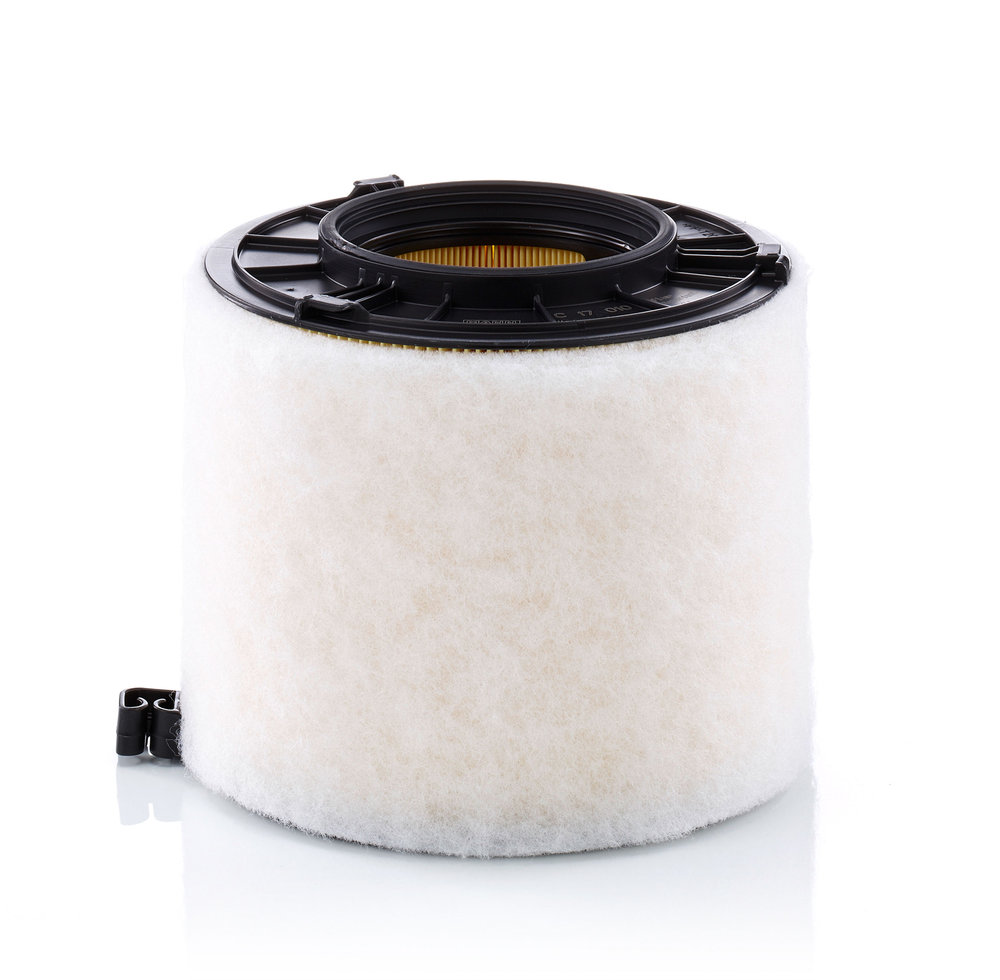 Luftfilter - C 17 010 MANN-FILTER - 102972, 27.G31.00, 4963-AR