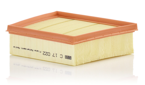 C 17 022, Luftfilter, Luftfilter, MANN-FILTER, 2184580, 53.497.00, 8V21-9601-BA