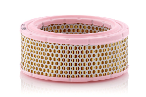 C 1953, Luftfilter, Filter, MANN-FILTER, 39125547, RM731