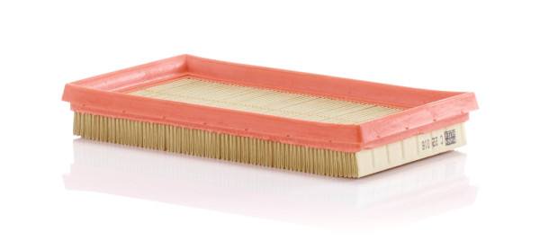 C 22 016, Air Filter, Filter, MANN-FILTER, 101447, 30.548.00, 51885845, A1574, A2498, ADL142228, ALA-18057, AP022/6, CA11653, E1153L, EAF835, ELP9338, F026400475, LVFA1629, LX3535, MA3181, MD-8704, P475, PA3758, PA7783, S3548A, WA9761