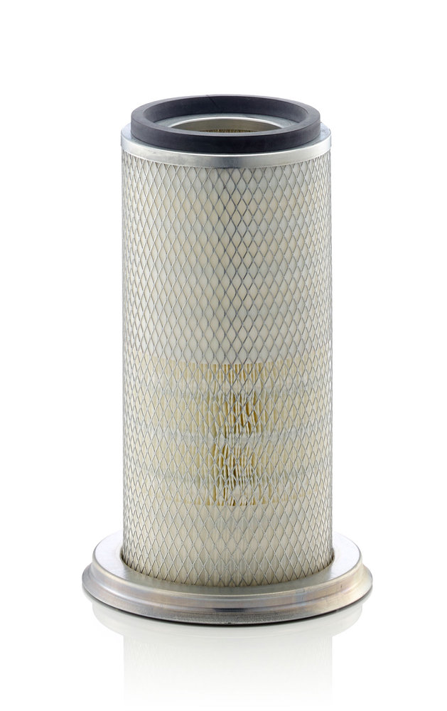 Luftfilter - C 22 025 MANN-FILTER - 0.010.2173.0, 1930605, AF25342