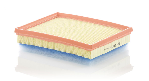 C 24 036, Luftfilter, Filter, MANN-FILTER, 106921, 20-00-0600, 39192256, 9813908880, A2651, A3005, ADP152239, AP196/9, AR1646PMS, E1623L, EAF1032, F026400613, FA-0600S, J1322133, LVFA1690, MA3473, MD-3020, PA7871, SU001-A7906, TA-1720, WA9868