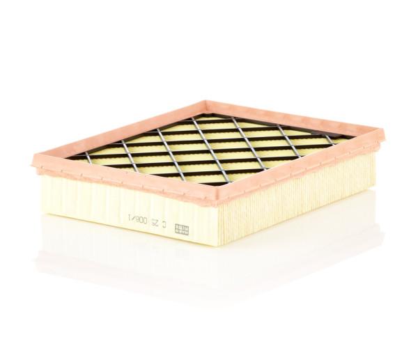 C 25 008/1, Air Filter, Filter, MANN-FILTER, 0986AF2928, 101660, 30.665.00, 4696-AP, 5243186, 7123210015, A1799, A2575, ADF122230, AG1766, AP186/2, CA12025, CU454-01/A01, E1302L, EAF939, FA-0317JM, FA1912A, GB-95030, LVFA1574, LX3988, MA3452, MAP60346, MD-8796, PA3580, PA7311, S3665A1, SB2354, V25-0970, WA10129, 50014696