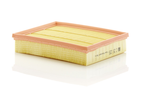 C 25 035, Air Filter, Air filter, MANN-FILTER, 172761, 2240480, ADBP220031, AP186/3, E1698L, EAF1046, LX5083, WA9915, DS73-9601-BA