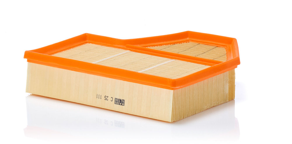 Air Filter - C 25 111 MANN-FILTER - 13727834715, 177477, 3123210036
