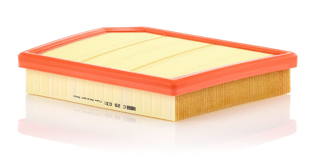 Luftfilter - C 29 031 MANN-FILTER - 13718480020, 176906, 30.C61.00