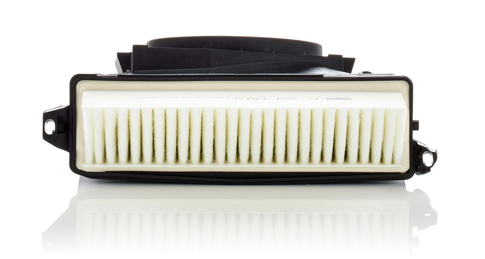 Air Filter - C 29 035-2 MANN-FILTER - 044621003, 100653, 20-00-0001