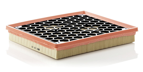 C 29 145, Luftfilter, Luftfilter, MANN-FILTER, 55560894, 834647, 95519048, 0986AF2859, 108903, 18573, 20-0W-W18, 30.388.00, 4323-AP, 585159, 60384, 6123210012, A1332, A2314, A-32040, ADW192201, AE2943, AF010, ALA-8867, AP152/3, C121, CA10685, CAF100954P, DA-7610, E1011L, EAF766, ELP9132, FA-W18S, GB-987, GFE4124