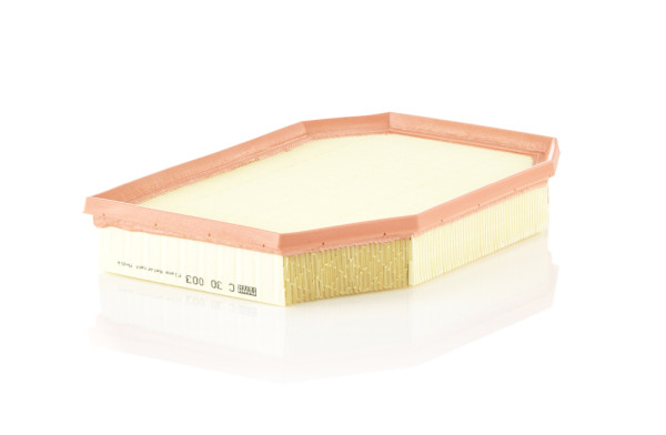 C 30 003, Luftfilter, Luftfilter, MANN-FILTER, 13717590597, 0986AF2918, 108366, 30.776.00, 4522-AP, 585491, 60496, A1490, A2421, ADB112216, AF115, AG1489, AP032/6, C167, CA11209, CU263-01/A01, DGM/L59097, E1039L, EAF875, ELP9340, LVFA1486, LX1741, MD-8616, PA3542, PA7714, S3515A1, V20-1401, WA9705, 221687, 50014522