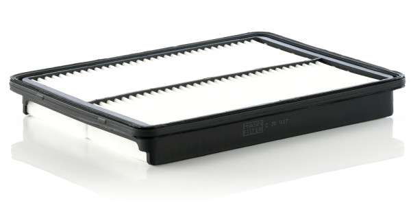C 30 017, Air Filter, Filter, MANN-FILTER, 20-0H-H21, 223024, 281132W100, 28113-2W100, 49670, A2703, A3045, ADG022143, AP197/9, CA11500, CU491-01/A01, E1269L, EAF1016, ELP9480, F026400448, FA-H21S, HA-736, J1320555, LVFA1648, LX3569, MD-8690, N1320542, PA3698, PA4481, PA7925, SB2380, LX4212, WA9883