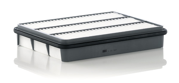 C 31 007, Air Filter, Filter, MANN-FILTER, 0986AF2166, 16013, 17801-07010, 20-02-272, 30-123210022, 42476, 8200013, A-194, ADT32256, AF244, AF7938, AP143/3, CAF100964P, CTY12090, FA-272, GB-979, J1322067, MA3054, P607256, PA4127, PC3202E, SB926, TA-1674, 17801-50040, F026400225, FA-272S, U964/606, WA9626, JFA-272, JFA-272S