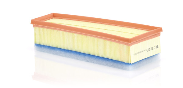 C 32 017, Luftfilter, Luftfilter, MANN-FILTER, 172766, 1770940100, ADBP220033, A1770940100