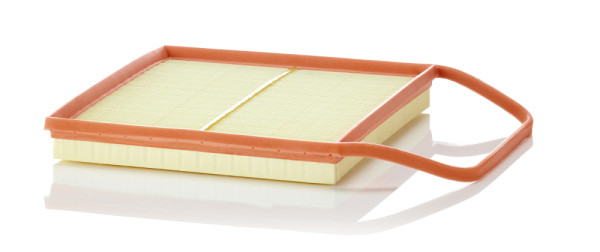 C 36 004, Luftfilter, Luftfilter, MANN-FILTER, 13717556961, 108364, 18602, 30.A44.00, 4262-AP, 49461, 60497, A1491, A2422, ADB112206, AF119, AG1486, ALA-8857/2, AP025/1, C113, CA10676, E1186L, EAF904, ELP9321, F026400148, HP2322, LVFA1404, LX1564, MA3220, MD-8382, P470, PA3351, PA7715, PC3095E, S3A44A