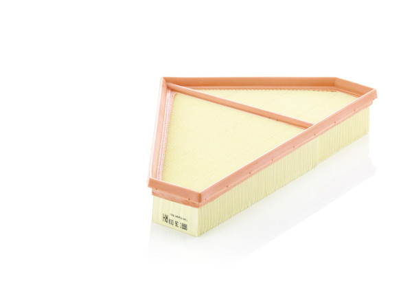 C 36 009, Air Filter, Filter, MANN-FILTER, 172263, A1842, ADJ132236, EX539601BA, LVFA1659, LX4254, MD-8908, T2R1882