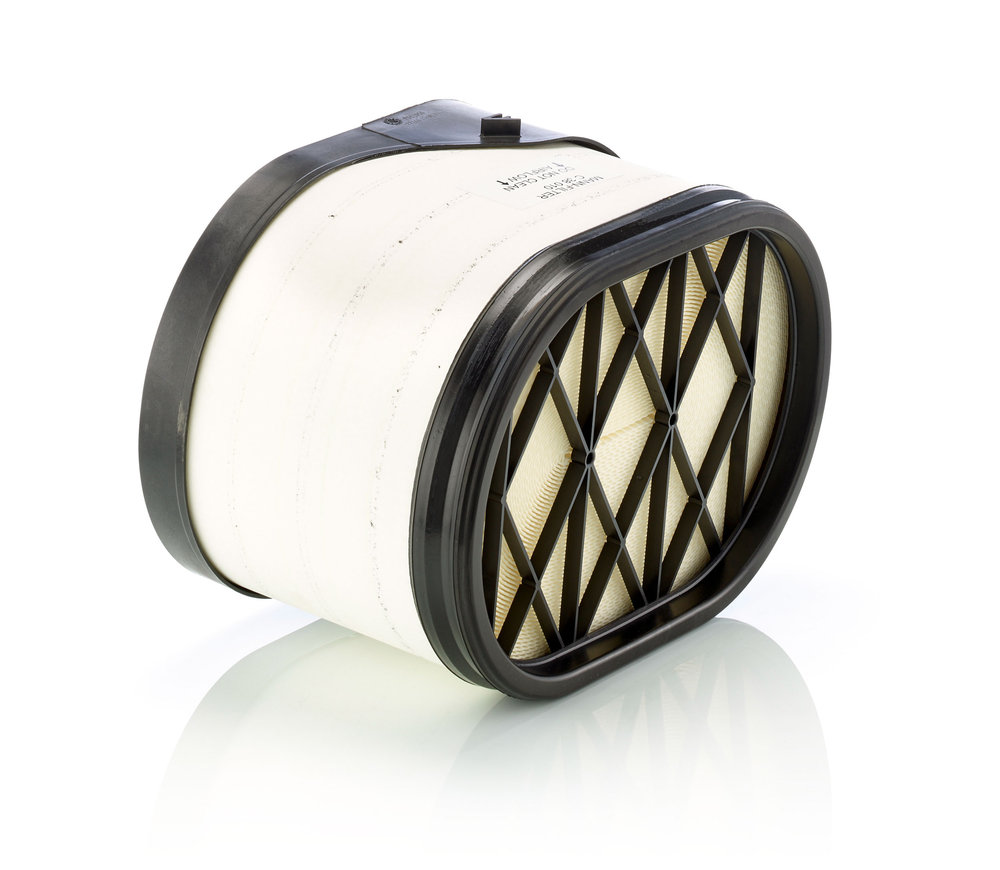 Luftfilter - C 38 010 MANN-FILTER - 146690, 84191182, AF4204