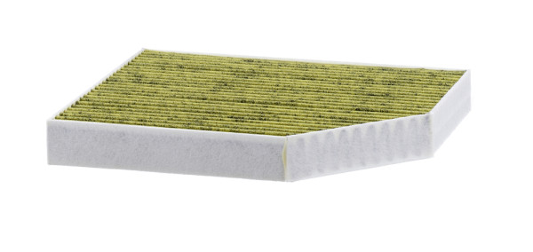 FP 2450, Filter, Innenraumluft, Filter, MANN-FILTER, 0986628522, 10-31-1004, 1123190020, 1670, 17487, 30931375, 31375, 34.168.00, 4211-AC, 49408633, 564, 65221, 715579, 8K0819439, AC79, ACE207, ADV182505, AH269, BCF220, CCF0173, CF10457, CU2450, E2948LB, E478, EKF106, EKR7220, FC317, HB194, K1278, K9070