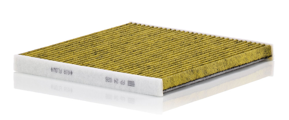 Filter, interior air - FP 24 026 MANN-FILTER - 50290396, 50920396