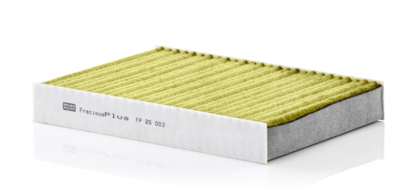 FP 25 003, Filter, Innenraumluft, Filter, MANN-FILTER, 0986628546, 17576, 21-NS-NS22, 272774812R, 27277-4BU0A, 34.291.00, 48539, 60948539, 701032, 80005173, AC147, ADN12539, AH482, CCF0476, CF11854, CU25003, E3952LB, E724, EKF386, ELR7338, FAA-NS22, FC275, J1341039, K1355, LVCF607, MS-6477, N1341035, NC-2040, PC8418, V46-32-0004