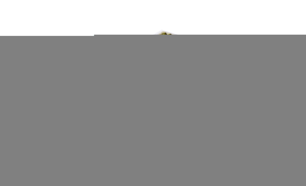 FP 26 005, Filter, Innenraumluft, Filter, MANN-FILTER, 0986628534, 16-123190021, 17504K, 272773488R, 34.217.00, 37567, 4617-ACC, 49408481, 582, 60937567, 67401, 701006, AC104, ADR162501, AHC281, ALC-6335, CFA10657, CUK26005, E2974LC, EA498, EKF297A, FK201, HCK7192, LAK684, LVCF530, MS-6403C, NC2359CA, PCA8249, S4217CA, SAK264