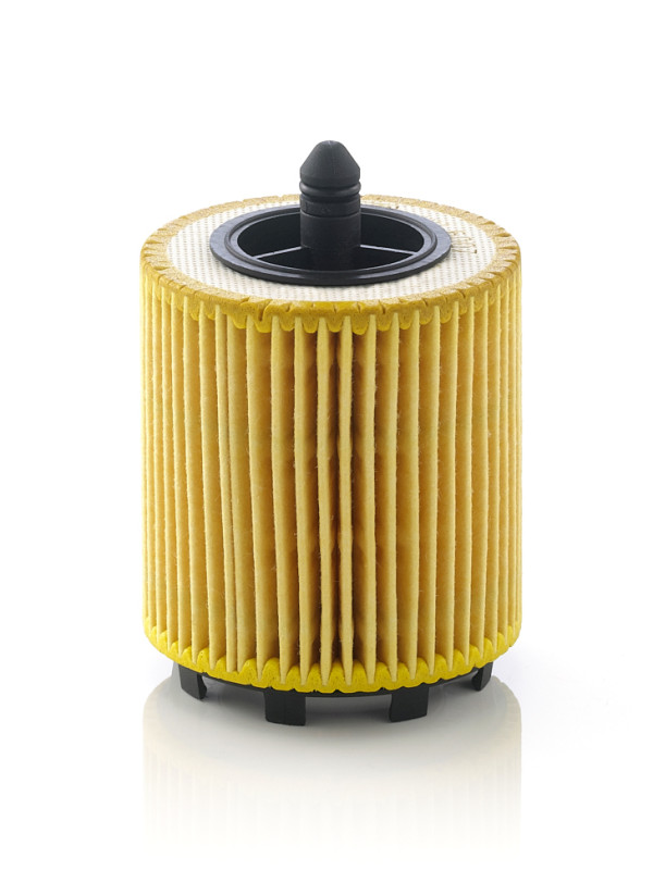 HU 6007 X, Oil Filter, Filter, MANN-FILTER, 0986AF0029, 1000, 10-ECO019, 12575810, 12579143, 12605566, 14025, 21018801, 221623, 22.39.47/10, 25.024.00, 40-0087, 4804934, 50013630, 586563, 6143220008, 64704, 70939762, 71739396, 71758801, 7584025, 93171212, AC6190E, AC-8042, ADA102108, ALO-103, AS1569, CH9018ECO, COF100568E, DGM/O364