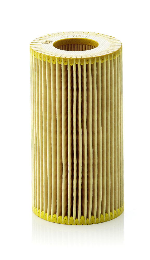 HU 718/1 N, Oil Filter, Oil filter, MANN-FILTER, 3117321, 5650319, 90544191, 4772166, 90540460, 9117321, 90570368, 1045, 109144, 10-ECO005, 14008, 1457429157, 152071758817, 22.39.23/10, 25.003.00, 50013569, 5510, 558000501P, 586505, 6143220001, 64702, 7584008, AC209, AC-8018, ADZ92118, ALO-8149, AS1528, CH5993, COF100507E, E11HD52