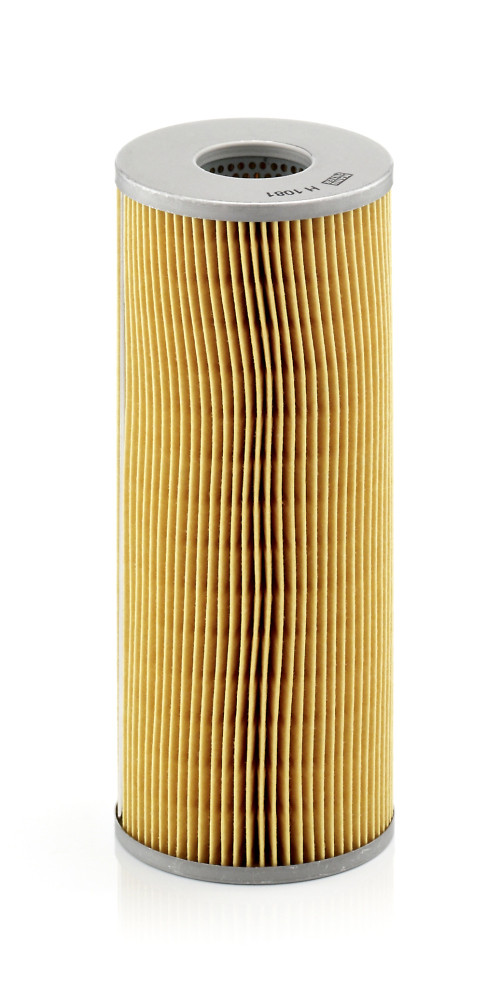 H 1081, Ölfilter, Ölfilter, MANN-FILTER, 0004307426, 0110371, 01161212, 100x40x234H4119, 5000849, 5573597, 801195131, 88.05504-0200, 9933149, 0004402531, 110371, 5576057, 6.0540.03.5.0003, 90.80119-5131, 90801195131, A730X6744GA, 0024563011, 6.0540.03.5.0023, 0024568011, 0024568658, 0024586011, 0025568011, 096-OC, 1457429590, 1534555, 25.431.00, 402, 46.66.14/10, 49.10.124, 4P/11