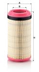 Luftfilter - C 21 600 MANN-FILTER - 05821475, 1000084242, 11067562