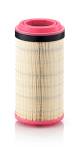 Luftfilter - C 21 600 MANN-FILTER - 05821475, 1000084242, 11067562