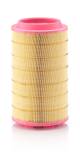 Luftfilter - C 24 745/2 MANN-FILTER - 81.08405-0022, 84.08405-0022, 105785