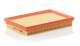 Luftfilter - C 2557 MANN-FILTER - 5029853, 6178411, 94AX9601K2A