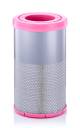 Luftfilter - C 31 034 MANN-FILTER - AF4299, DC46-9601-AA, P955592
