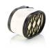 Luftfilter - C 38 010 MANN-FILTER - 146690, 84191182, AF4204