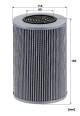 Filter, Arbeitshydraulik - HD 1258 MANN-FILTER - 69022273, 7618260, AG631964