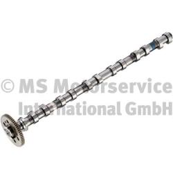 50007683, Camshaft, Camshaft, KOLBENSCHMIDT, 11317791580