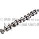 Camshaft - 50006106 KOLBENSCHMIDT - 07Z109101F