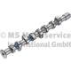 Camshaft - 50006382 KOLBENSCHMIDT - 032109101S, 93109000