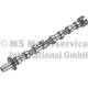 Camshaft - 50007012 KOLBENSCHMIDT - 0801AE, CAM749, CP15033