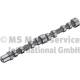 Camshaft - 50007033 KOLBENSCHMIDT - 504096183, 50007033