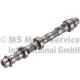 Camshaft - 50007062 KOLBENSCHMIDT - 46802420, 215809, 93171700