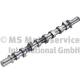 Camshaft - 50007076 KOLBENSCHMIDT - 13001-00Q0T, 6070500000, 8200679572