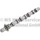 Nockenwelle - 50007093 KOLBENSCHMIDT - 0801Z9, 1313804, 3M5Q6A270AC
