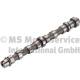 Camshaft - 50007106 KOLBENSCHMIDT - 55565852, 5636108