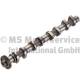 Camshaft - 50007113 KOLBENSCHMIDT - 5636084, 636174
