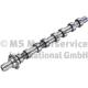 Nockenwelle - 50007573 KOLBENSCHMIDT - 0801Z9, 1313804, 3M5Q6A270AC