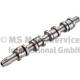 Nockenwelle - 50007578 KOLBENSCHMIDT - 03G109102F, 215423, CP10261