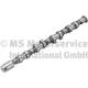 Camshaft - 50007587 KOLBENSCHMIDT - 06F109102B, CP10281