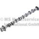 Camshaft - 50007588 KOLBENSCHMIDT - 06D109101AL, 06D109101AP