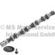 Nockenwelle - 50007688 KOLBENSCHMIDT - 24200-2A101, CAM966, CP17409
