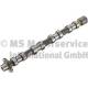 Nockenwelle - 50007707 KOLBENSCHMIDT - 0801CZ, CAM976, 0801EW