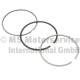Piston Ring Kit - 800116110050 KOLBENSCHMIDT - 01602N2, 08-437007-00